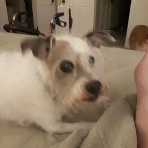 Meet your Posher, Connie gregory herbert